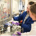 Investigadores de OHSU identifican un promisorio tratamiento de ltima generacin contra el cancer