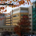 OHSU in autumn