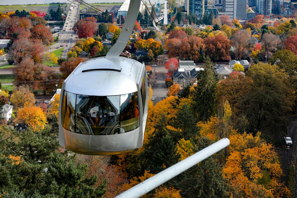 Portland Tram in Autumn