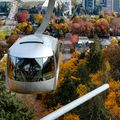 Portland Tram in Autumn