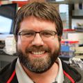 Jonathan Pruneda, Ph.D., led a study to explore how a form of the common protein ubiquitin is modified during an infection with illness-causing bacteria. With further research, his study's findings could lead to improved care for Parkinson's disease and breast cancer.  (OHSU/Christine Torres Hicks)