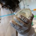 OHSU Knight Cancer Research 2023