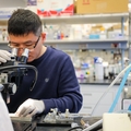OHSU Vollum Research 2023