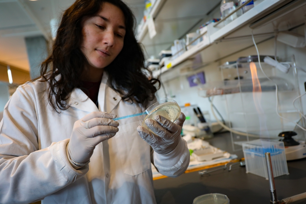 El equipo de especialistas en cáncer de OHSU Knight Cancer Institute son pioneros en la detección temprana y las terapias para el tratamiento del cáncer. (OHSU/Christine Torres Hicks)