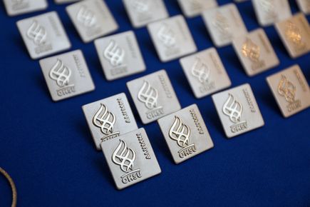 OHSU Alumni pins