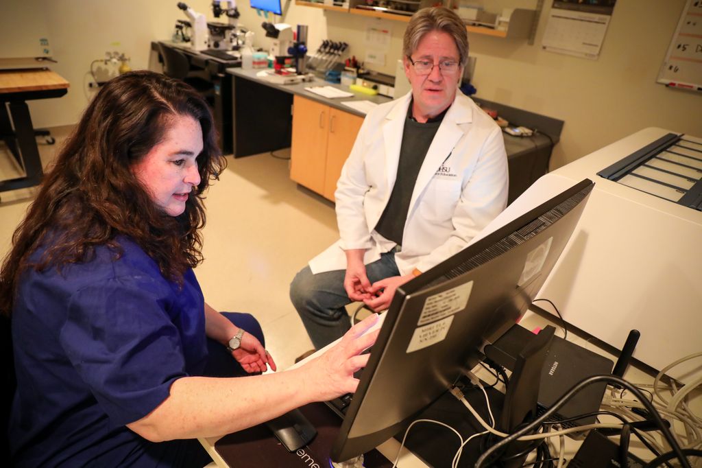 Carrie Hanna, Ph.D., director of the Assisted Reproductive Technology Care at the ONPRC, goes over embryo images and data with Larry Sherman, Ph.D., professor in the Division of Neuroscience at the primate center. (OHSU/Christine Torres Hicks)
