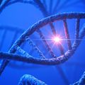 OHSU researchers assemble comprehensive atlas of human gene mutations 