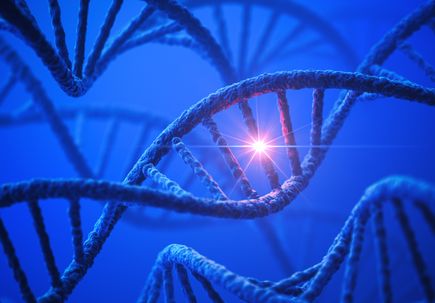 Investigadores de OHSU crean un atlas integral de mutaciones genéticas en seres humanos 