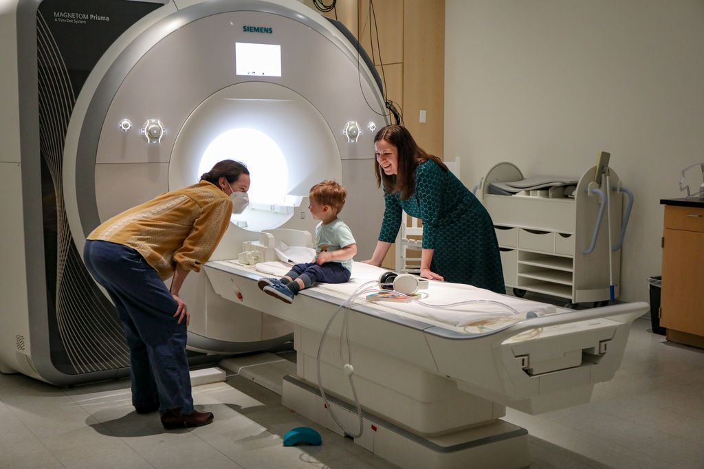 Healthy brain research