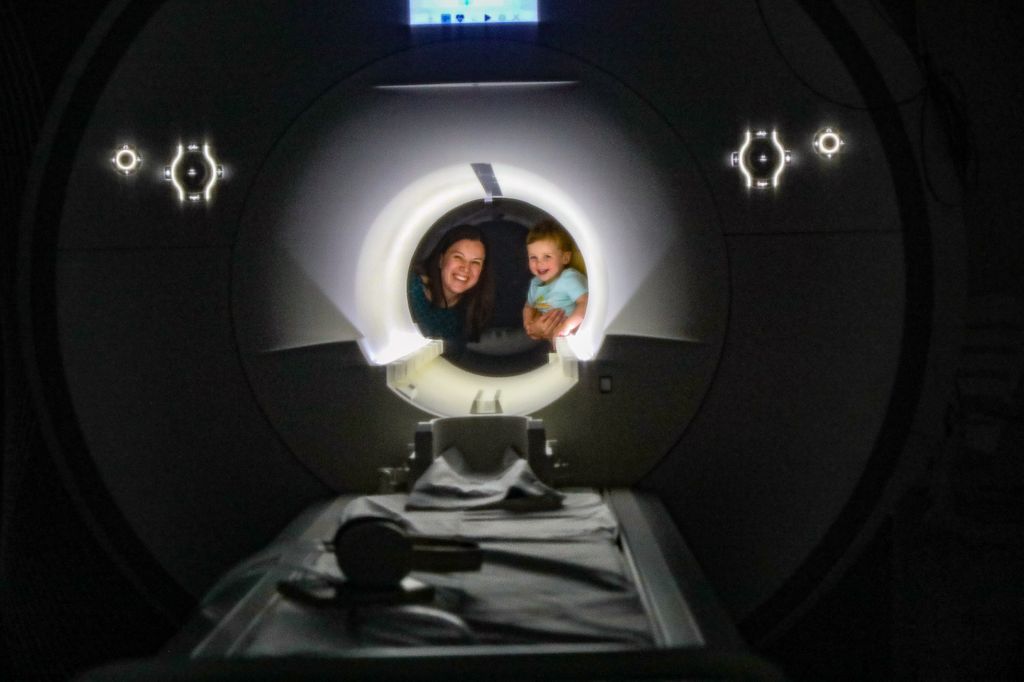 Early brain development