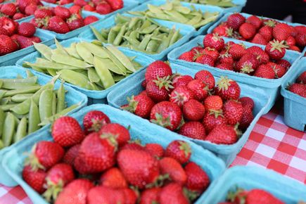 Douglas County joins OHSU effort to improve health through nutrition