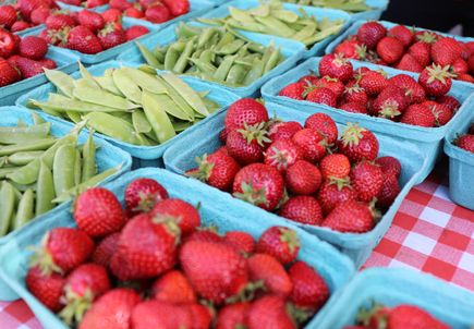 Douglas County joins OHSU effort to improve health through nutrition