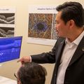 Optical coherence tomography scan demonstration
