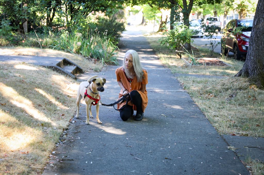 A Jennifer Rosoff, de 60 años, de Portland, le encanta pasear a su perro por el vecindario. Rosoff se sometió a un trasplante de hígado el 23 de mayo de 2023 en OHSU. Su nuevo hígado provino de un donante ubicado a varias horas de distancia, lo que no habría sido una opción para ella sin una bomba de perfusión. Una bomba de perfusión hace fluir sangre a través del hígado hasta 24 horas antes del trasplante, en lugar del enfoque tradicional de enfriar los órganos de los donantes en hielo y apresurarse a trasplantarlos. OHSU es el único hospital de Oregón que utiliza bombas de perfusión para trasplantes de hígado. (OHSU/Christine Torres Hicks)
