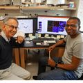 OHSU scientists discover new cause of Alzheimer’s, vascular dementia