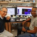 Científicos de OHSU descubren nueva causa de la enfermedad de Alzheimer y la demencia vascular