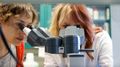 Study identifies biomarker that could lead to better treatment for autoimmune disease 