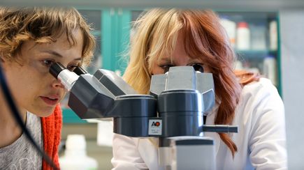 Study identifies biomarker that could lead to better treatment for autoimmune disease 