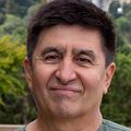 Mitalipov honored with award in reproductive medicine