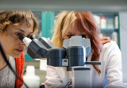 Estudio permite identificar una mutación genética que podría propiciar un mejor tratamiento de una enfermedad autoinmune 