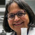 Amala Soumyanath, Ph.D. (OHSU)
