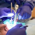 School of Dentistry Program