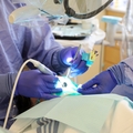 School of Dentistry Program
