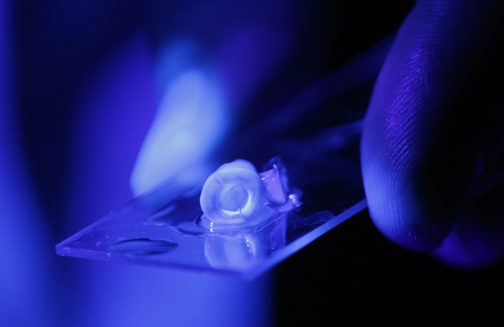 Artificial blood vessels