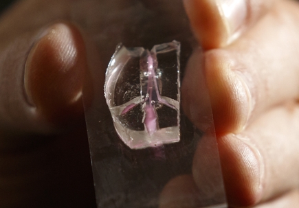 Bertassoni lab: Artificial blood vessels