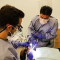 Training program helps Portlanders find new careers in health care  3