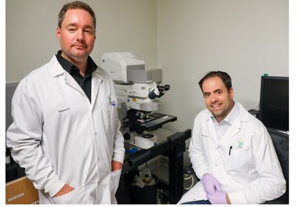 Researchers discover connection between failure to repair protective covering around nerves, neuron damage