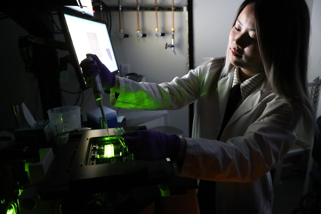 La imagen es de un investigador en un laboratorio con poca iluminación y láseres verdes. Yujia Zhang, M.S., estudiante de posgrado en el laboratorio de Xiaolin Nan, trabaja en un experimento de imagenología. El laboratorio Nan es uno de los muchos laboratorios en el Cancer Early Detection Advanced Research Center de OHSU Knight Cancer Institute, conocido como CEDAR, que utiliza herramientas, equipos y técnicas de imagenología avanzada para potenciar la detección y las intervenciones tempranas para el cáncer. (OHSU/Christine Torres Hicks)