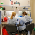 la Unidad de Investigación de Medicina Maternofetal