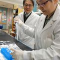 New gene therapy research offers hope for people with chronic kidney disease