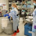 OHSU marks 15 years supporting pregnancy research