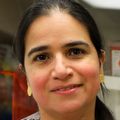 Monica Rincon, M.D., M.C.R., has long straight black hair pulled back and a print top, smiling near a hood in the Maternal Medicine Lab.