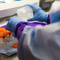 Maternal Fetal Medicine Research Unit