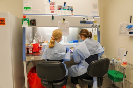 Maternal Fetal Medicine Research Unit
