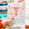 OHSU aims to reduce differences in how men, women experience, are treated for pain 