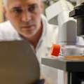 Una nueva investigación podría conducir a una vacuna universal contra la gripe