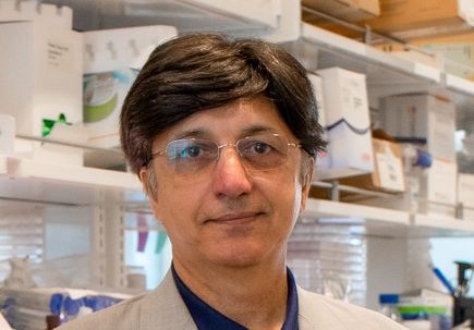  Sanjay Malhotra Ph.D.