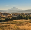 PNW research institutes awarded $2.5 million in federal funds to advance health equity through research with rural primary care practices