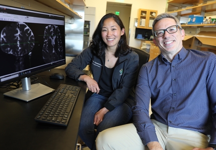 Se revelan por primera vez vías de eliminación de desechos del cerebro