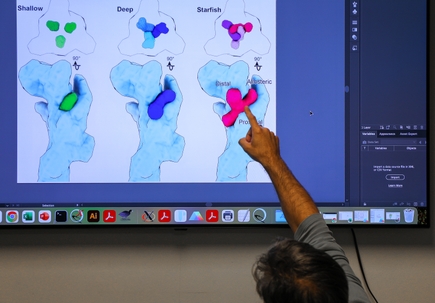 Researchers discover new ways to ‘turn off’ receptor involved in inflammatory diseases 