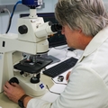 Researching plant-derived chemical compounds