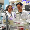 Northern Mariana Islands’ students gain experience, discover passion with OHSU research projects