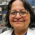 Amala Soumyanath, B.Pharm., Ph.D., guía a la estudiante Ellala Limoico en su laboratorio de OHSU. Limoico es parte del programa de Promoción de Retención de Oportunidades de Avanzamiento del Northern Marianas College, que se asocia con PSU para permitir que los estudiantes de las islas trabajen con investigadores, incluso en OHSU. (OHSU/Christine Torres Hicks)