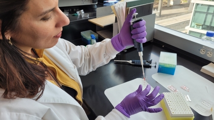 Un nuevo estudio identifica cómo las disfunción de vasos sanguíneos puede empeorar enfermedades crónicas