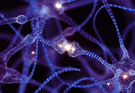 Tracking gene expression