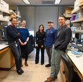 OHSU researchers identify protective properties of amniotic fluid